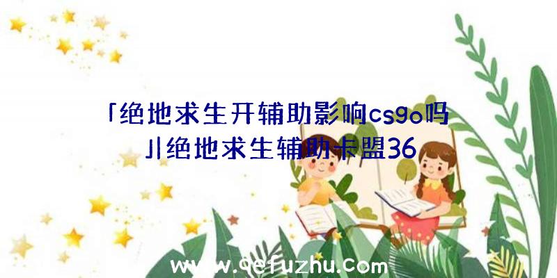 「绝地求生开辅助影响csgo吗」|绝地求生辅助卡盟36